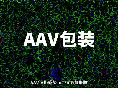 AG·老哥必备的交流社区_俱乐部论坛帖子