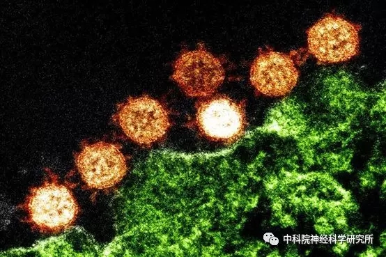 AG·老哥必备的交流社区_俱乐部论坛帖子